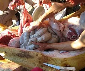 فرآوری خوک؛ خوکو مساوی برش میدن شکمشو خالی و اسلایس شده با سس سویا سرو میکنن