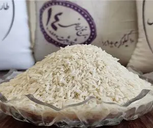 عبور قیمت برنج ایرانی از مرز ۲۳۰ هزار تومان / چه کسانی از افزایش قیمت برنج سود می‌برند؟