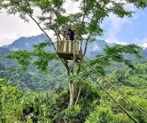 معماری خلاقانه؛ آقاهه یه نردبون چند صد متری گذاشته رفته نوک درخت کلبه چوبی ساخته