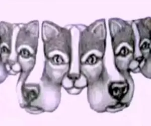 بازی فکری؛ فقط کسایی که تو هوش قطب عالم هستن بگن چندتا سگ تو تصویر میبینن