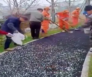 معماری خلاقانه؛ سنگریزه ساختن نور جذب میکنن شب ساتع میکنن راننده ها ببینن تصادف نکنن