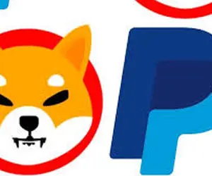 شیبااینو در عین ناباوری ترکوند!!