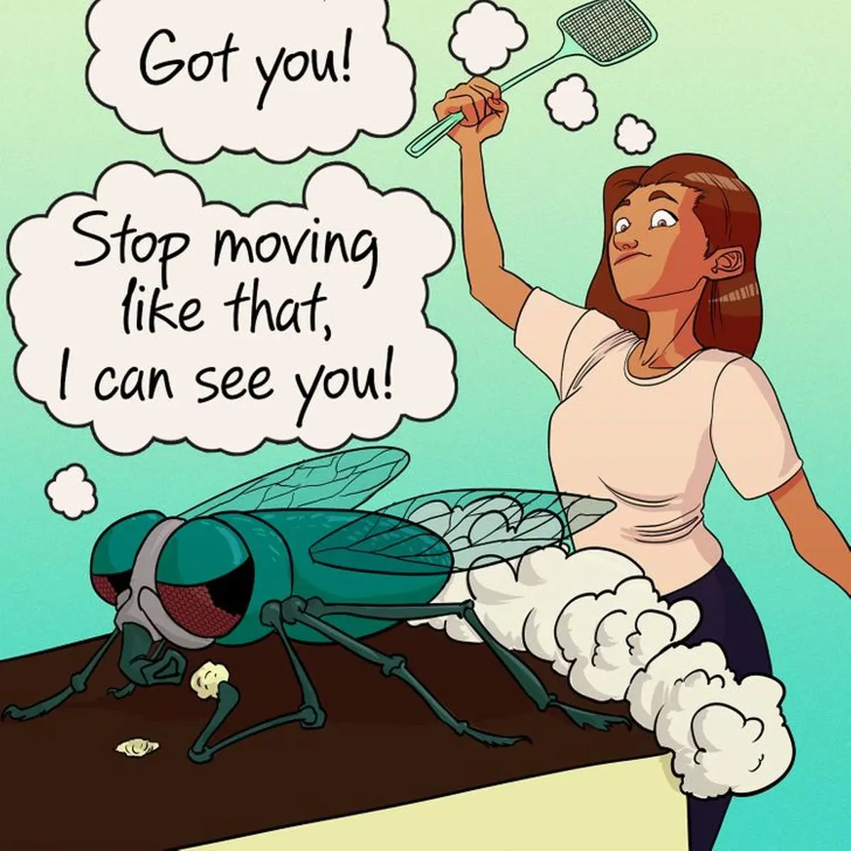 حقایقی از مگس ها