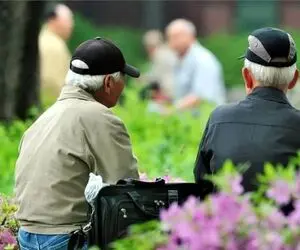 دیبا کارت برای کدام گروه از بازنشستگان صادر می شود؟