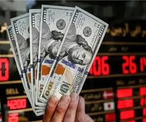 قیمت دلار پشت سد ارزپاشی / دلار از شوک جنگ عبور کرد