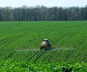 کشاورزی نوین؛ مزرعه کشاورزی بزرگ تو اوکراین جنگ زنده که کل دنیا بهش چشم داره