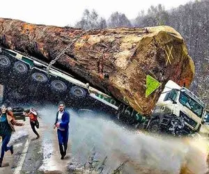 جابه جایی جانکاه؛ 2000 تن الوار رو با تریلی و یدکش حمل کردن تو پیچ گردنش شکست