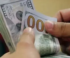 پیش بینی قیمت دلار ۲۴ دی ۱۴۰۳ / بلاتکلیفی سیاسی دلار را سرگردان کرد