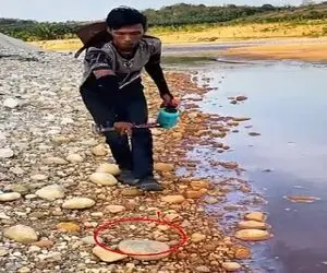 معماری طبیعت؛ خدایا به این نمیخورد همچین گنجی رو شناسایی و شکار کنه