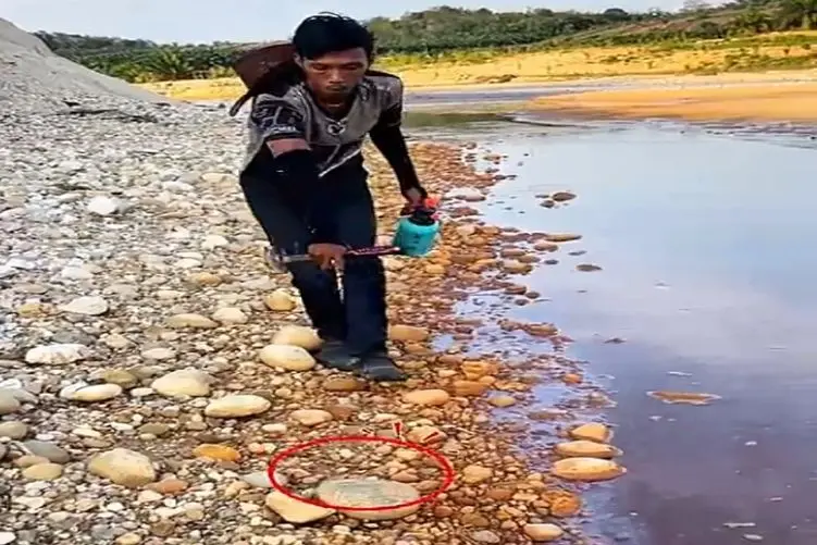 معماری طبیعت؛ خدایا به این نمیخورد همچین گنجی رو شناسایی و شکار کنه
