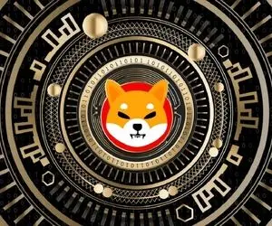 شیبااینو میزنه رو دست همه؟