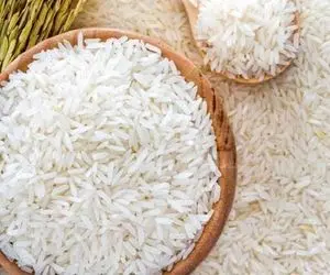 کاهش ۱۵ تا ۲۵ هزار تومانی قیمت برنج  ایرانی