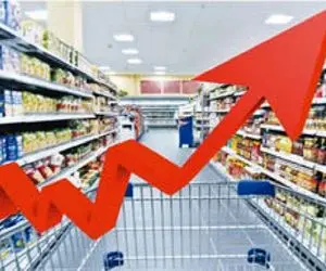 افزایش ماهانه نرخ تورم مواد غذایی نگران‌کننده است