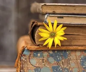 داستان شب: آش نخورده و دهن سوخته رو حتما شنیدی اما داستانش رو چی؟ بیا تا برات تعریف کنم