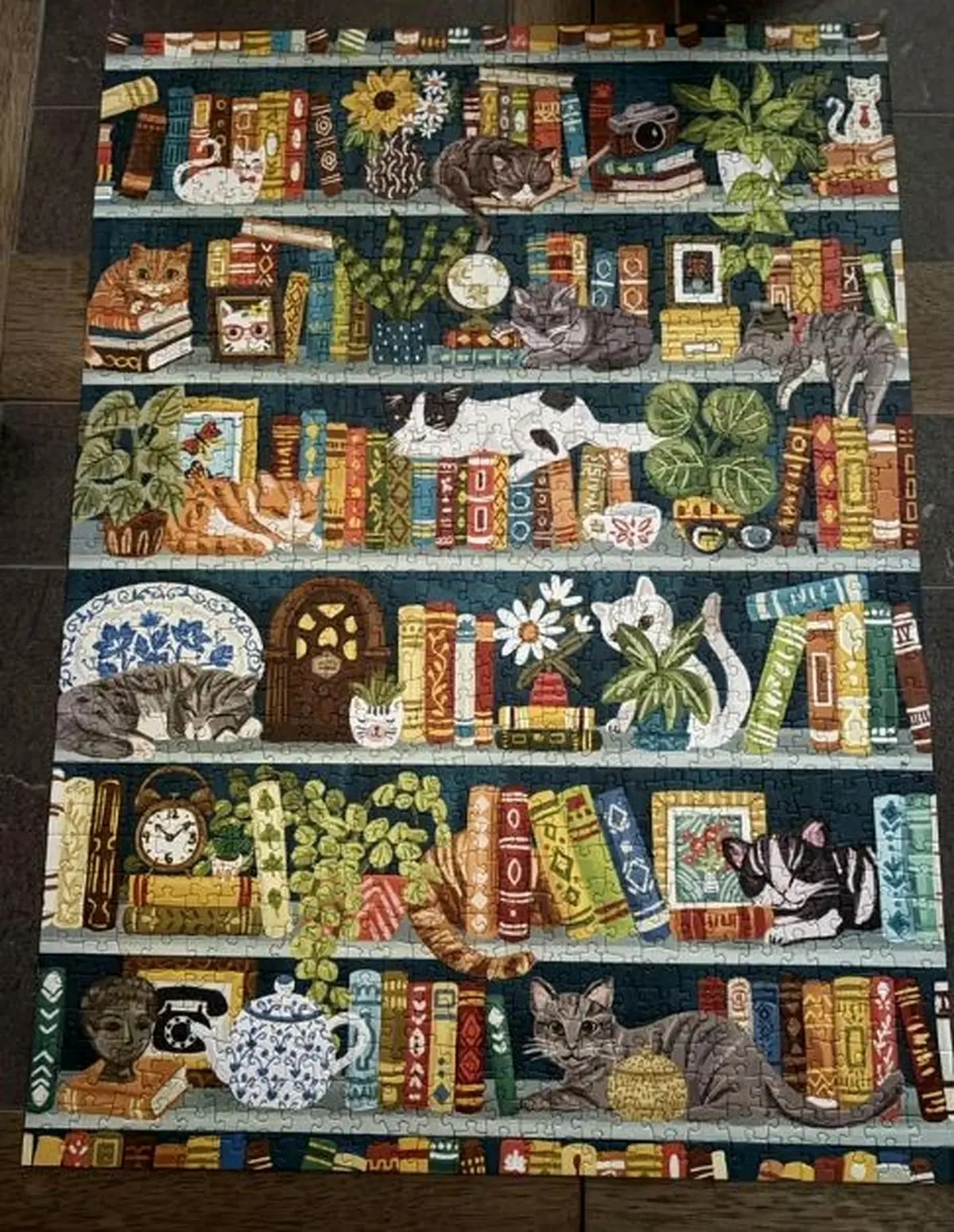 Josh-Folder-(18)-1767423469458