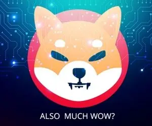 دارندگان شیبااینو مراقب این موارد باشید!