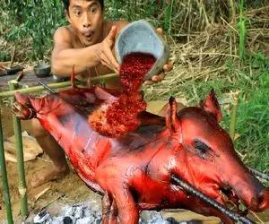 کباب خوک؛ وسط جنگل از گرسنگی خوک حرومی صورتی و به صلیب میکشه بریونی میکنه و میبلعه