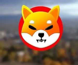 وعده مهم شیبااینو به کاربران خود؟؟