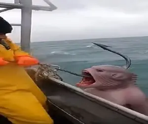 معماری طبیعت؛ اومدن ماهی بگیرن یه موجود عجیب الخلقه گرفتن شبیه شیطانه بدجور ترسیدن