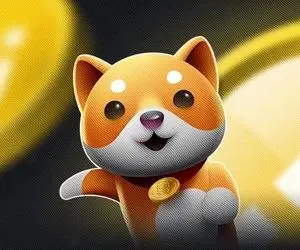 احتمال انفجار قیمت بیبی دوج چقدر است؟