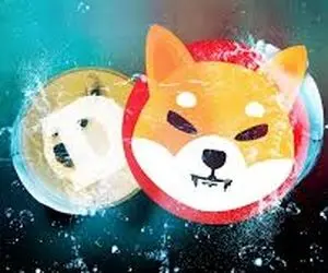 شیبااینو و دوج کوین در بدترین حالت؛ خوردن به بن بست؟!