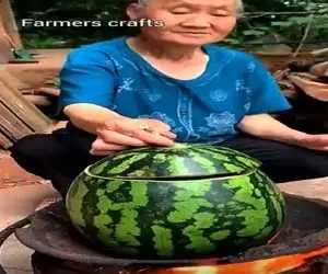 آشپزی گربه شور؛ زنه هندونه رو قابلمه کرد اردک انداخت توش بپزه معده ام پیچید 