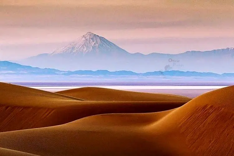 آن روی طبیعت وحشی؛ این چی بود از دل شن‌های صحرا دراومد؟ معلوم نیست چه جونوریه