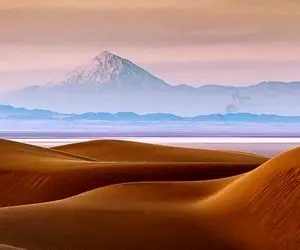 آن روی طبیعت وحشی؛ این چی بود از دل شن‌های صحرا دراومد؟ معلوم نیست چه جونوریه