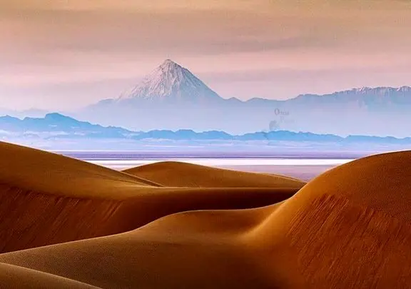 آن روی طبیعت وحشی؛ این چی بود از دل شن‌های صحرا دراومد؟ معلوم نیست چه جونوریه