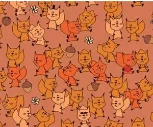 بازی فکری؛ 100 هیچ از همه جلویی اگه موش پنهان رو بین گربه ها پیدا کنی