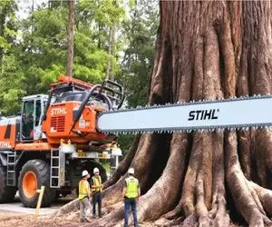 ابزارآلات غول پیکر؛ اپراتور بیل مکانیکی با نصب اره غول کمر همت بست به نابودی درختا