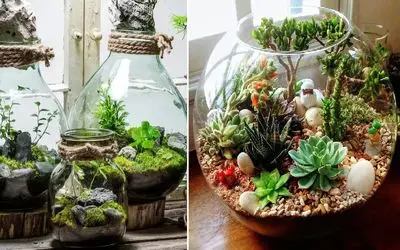 تراریوم باغ شیشه ای با دلبری های بی پایان؛ گیاهان آپارتمانی مناسب در انواع باز و بسته