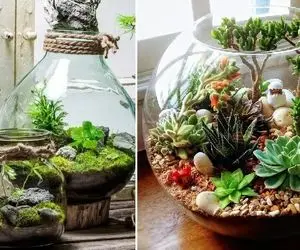 تراریوم باغ شیشه ای با دلبری های بی پایان؛ گیاهان آپارتمانی مناسب در انواع باز و بسته