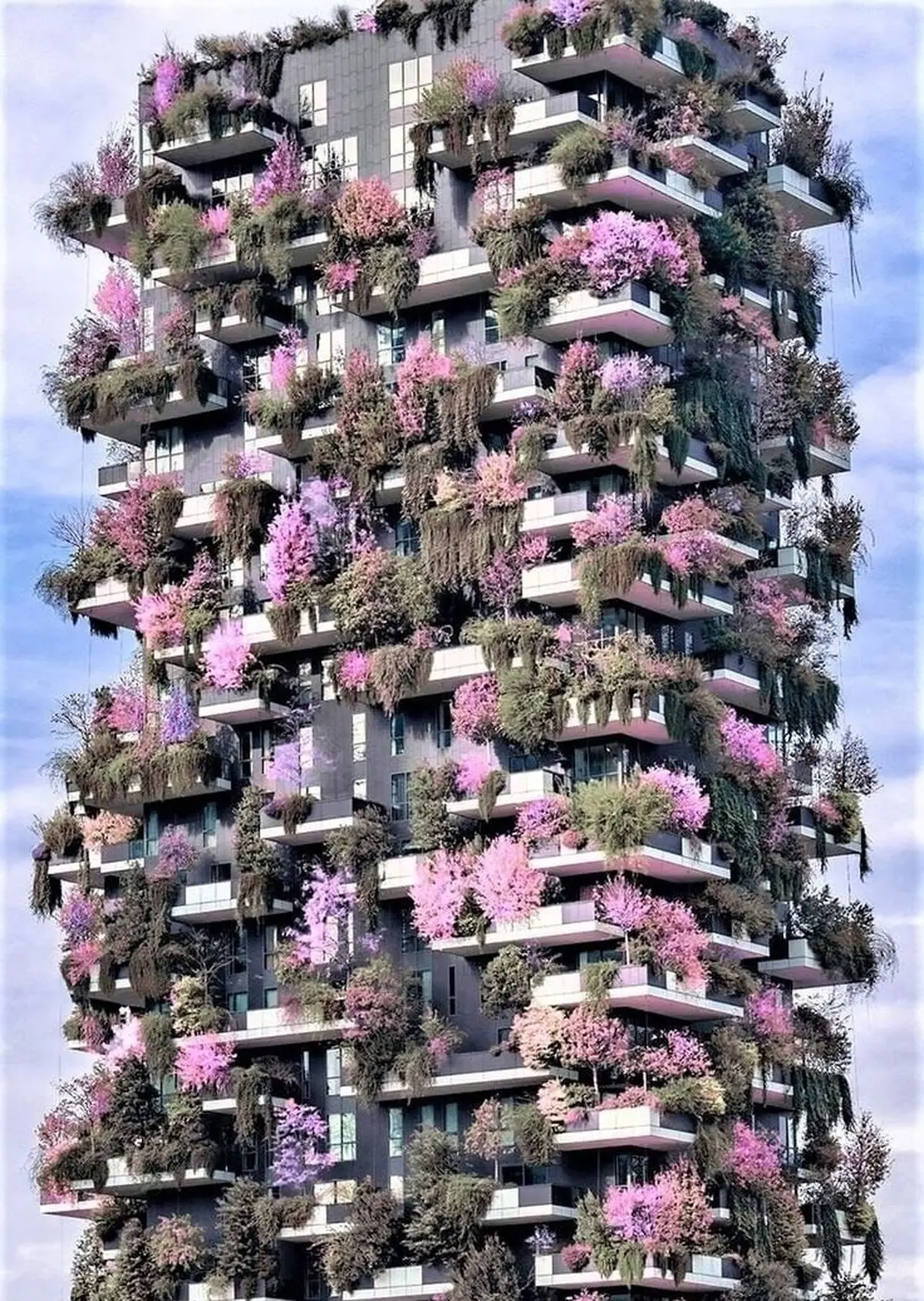 8464