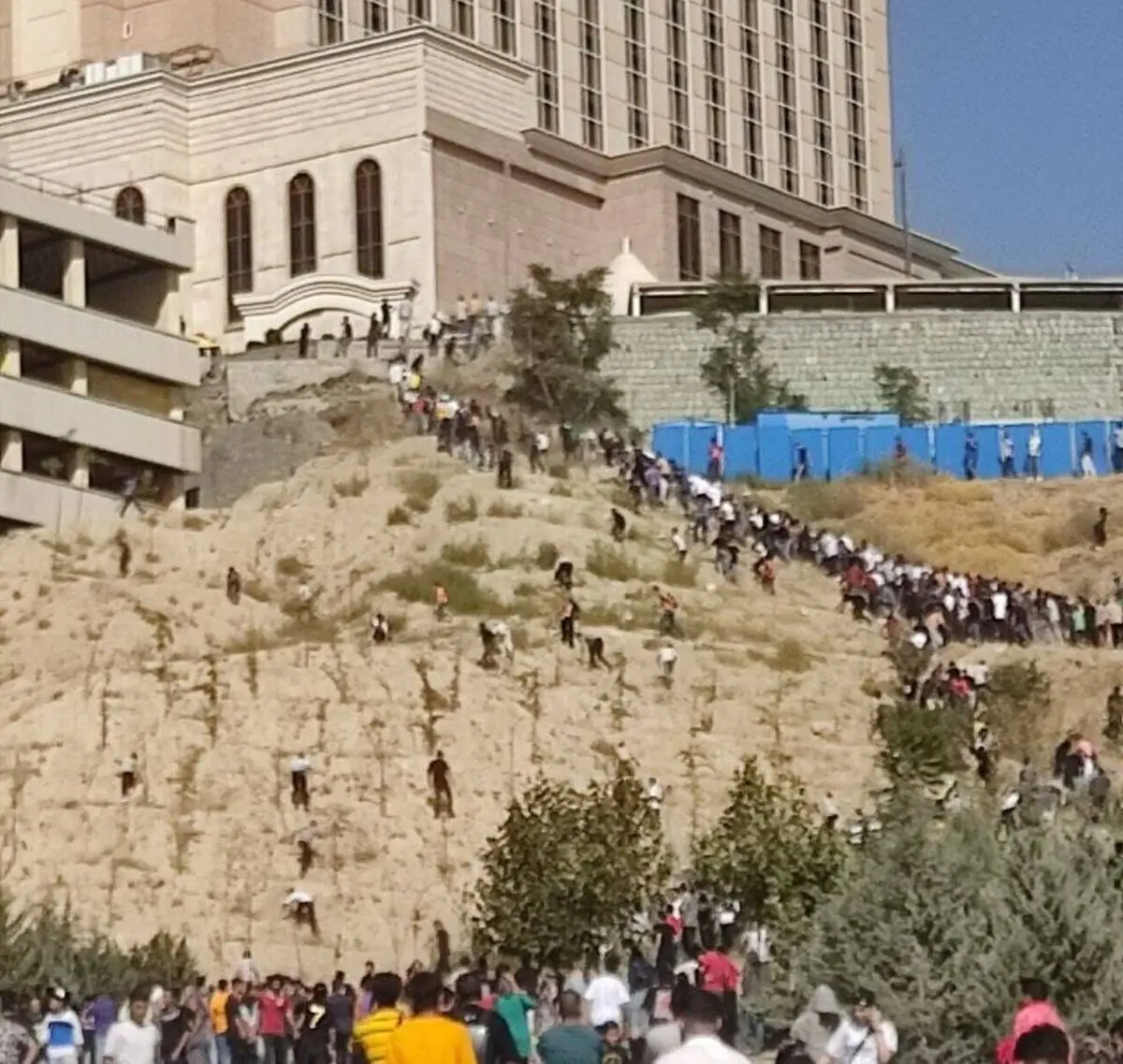 نیوشا ضیغمی
