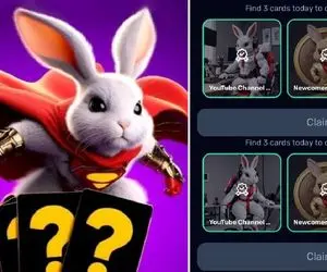 کارت‌های راکی ربیت (rocky rabbi) امروز دوشنبه ۵ شهریور + آموزش وارد کردن