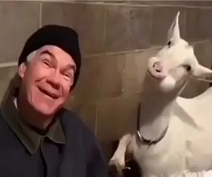 سکانس خندان؛ بزبز قندی یه سیسی برای دوربین گرفت از صاحبش بلاگر تره