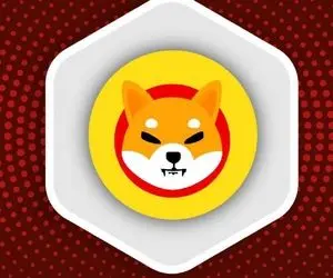 پیشرفت بزرگی از شیبااینو در راه است؟