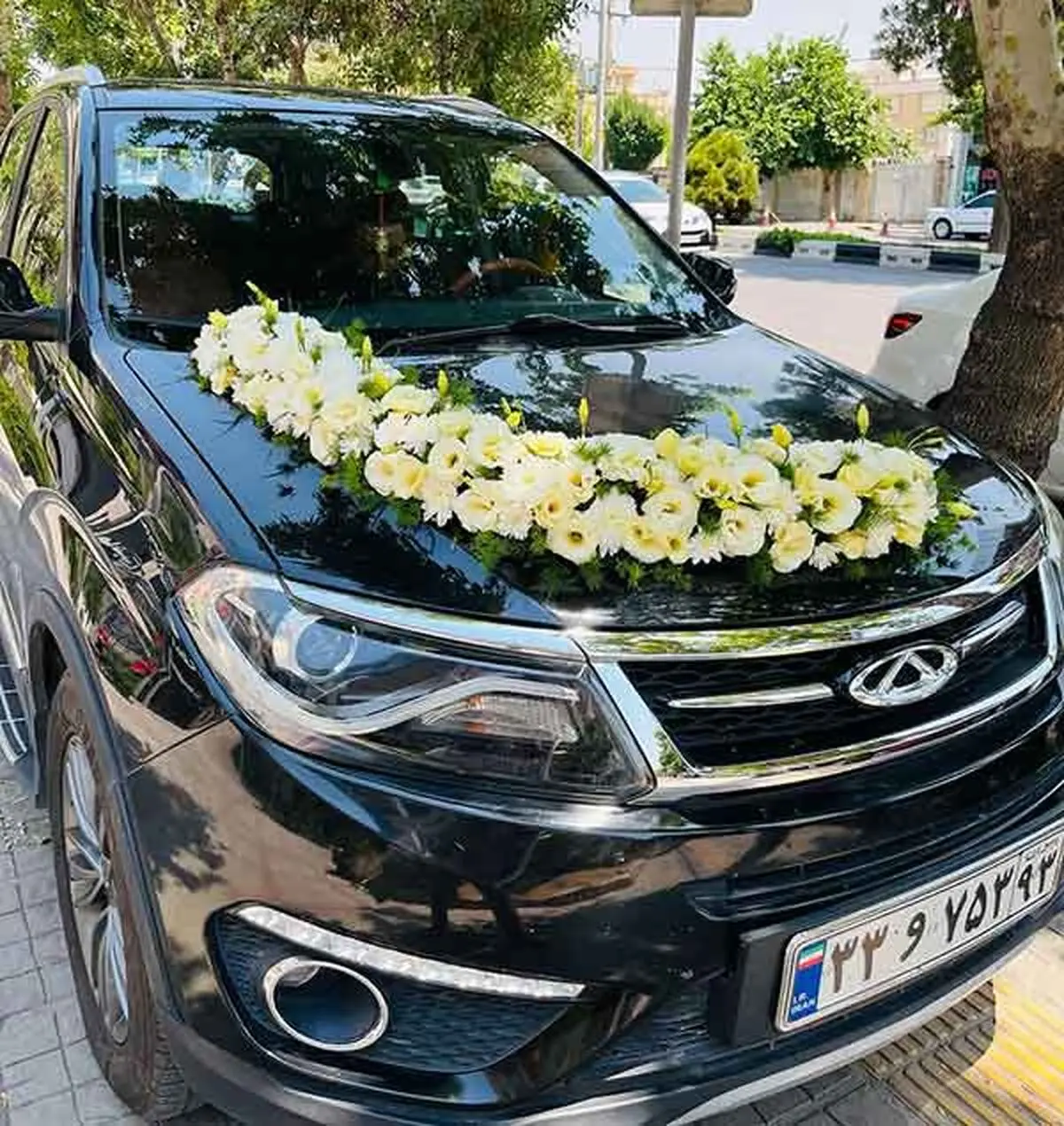 عروس12