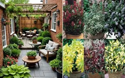 گیاهان مختص نگهداری در حیاط خانه و ویلا در زمستان و سرما؛ گلدار، همیشه سبز و مقاوم