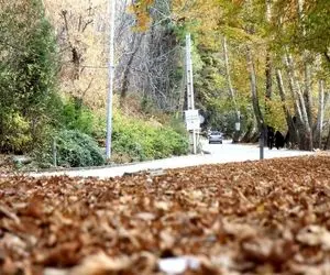 منابع طبیعی کهگیلویه و بویراحمد توبیخ می شود