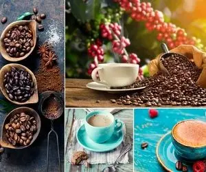 ترفندهایی برای انتخاب قهوه؛ اگه قهوه ای که میخری عین قیرسیاهه پس مسیررو اشتباه رفتی!