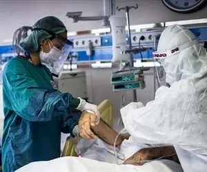 کرونا جان ۲۴ نفر دیگر را هم گرفت