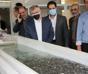 بازدید استاندار البرز از قدیمی ترین مرکز پرورش ماهی کشور