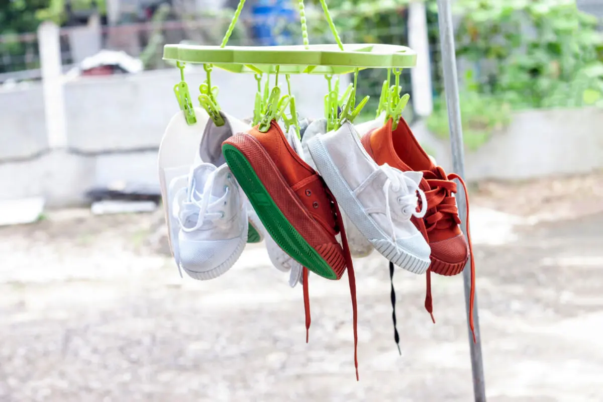 shutterstock_1846267234-1024x683-1