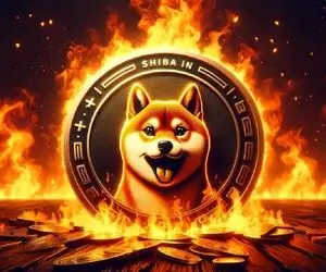 نرخ سوختگی شیبا اینو پارابولیک می شود؟