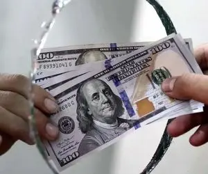 قیمت دلار نیمایی امروز شنبه ۲۹ دی ۱۴۰۳ / نیما همچنان در مسیر نزولی