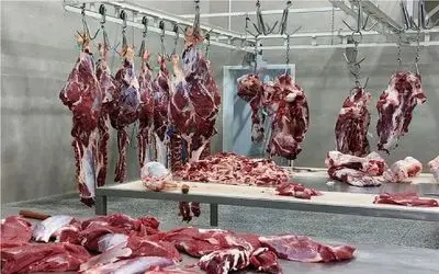 علت گرانی گوشت قرمز؛ ضعف نظارت و دخالت‌های اشتباه؟