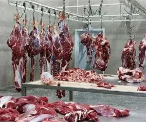 علت گرانی گوشت قرمز؛ ضعف نظارت و دخالت‌های اشتباه؟