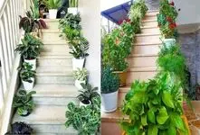 گیاهان مختص راه پله  تاریک؛ عالی برای اون راه پله ها که حتی چشم چشمو نمیبینه